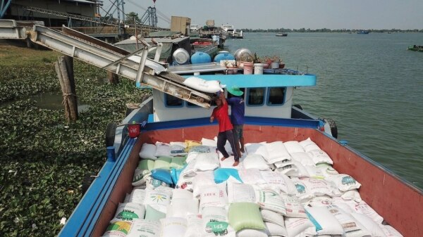 Las exportaciones de arroz alcanzan un máximo histórico