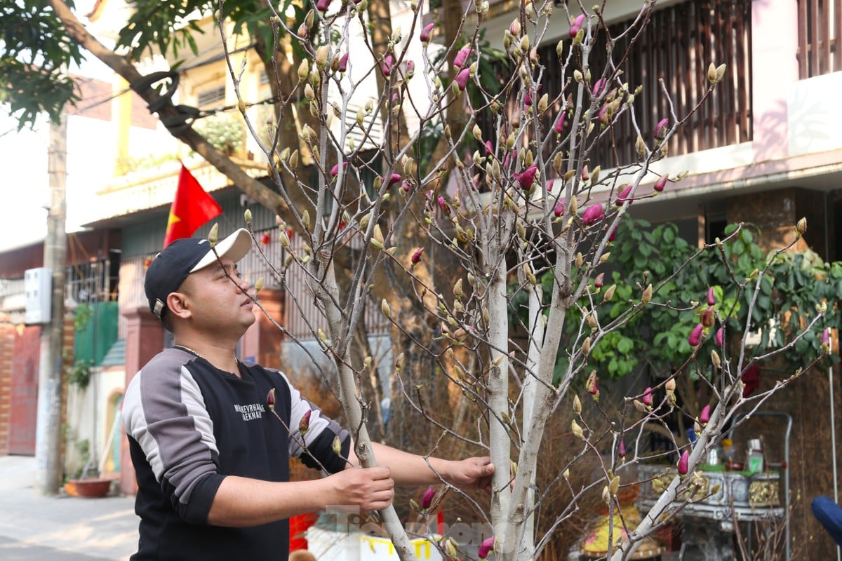 Les fleurs avec des tiges comme du bois de chauffage sec, dont le prix atteint des millions de dongs, sont recherchées pour les vacances du Têt. Photo 1