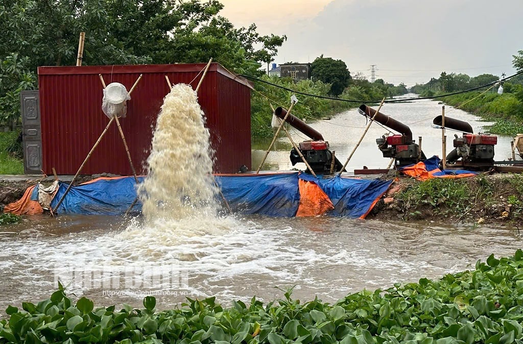 Bảo vệ sản xuất nông nghiệp trước bão số 3