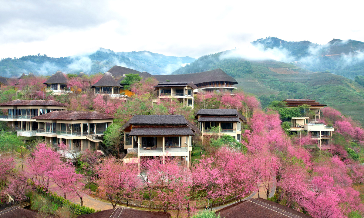 Las flores silvestres florecen en Mu Cang Chai