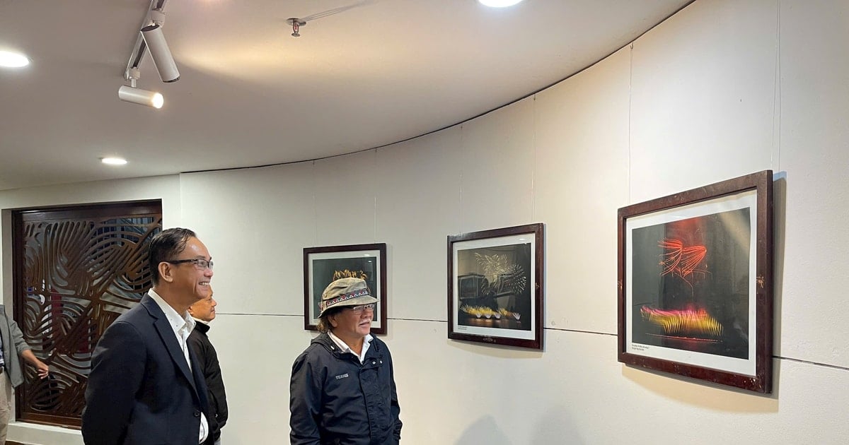 Exposición de fotografía artística "Colores de luz" en el Museo de Bellas Artes de Da Nang