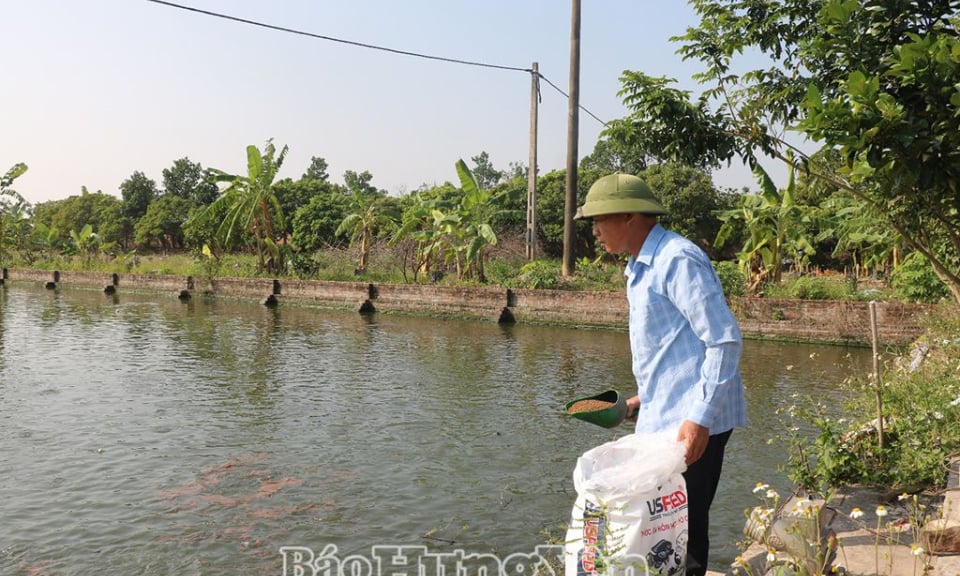 Những trang trại doanh thu tiền tỷ