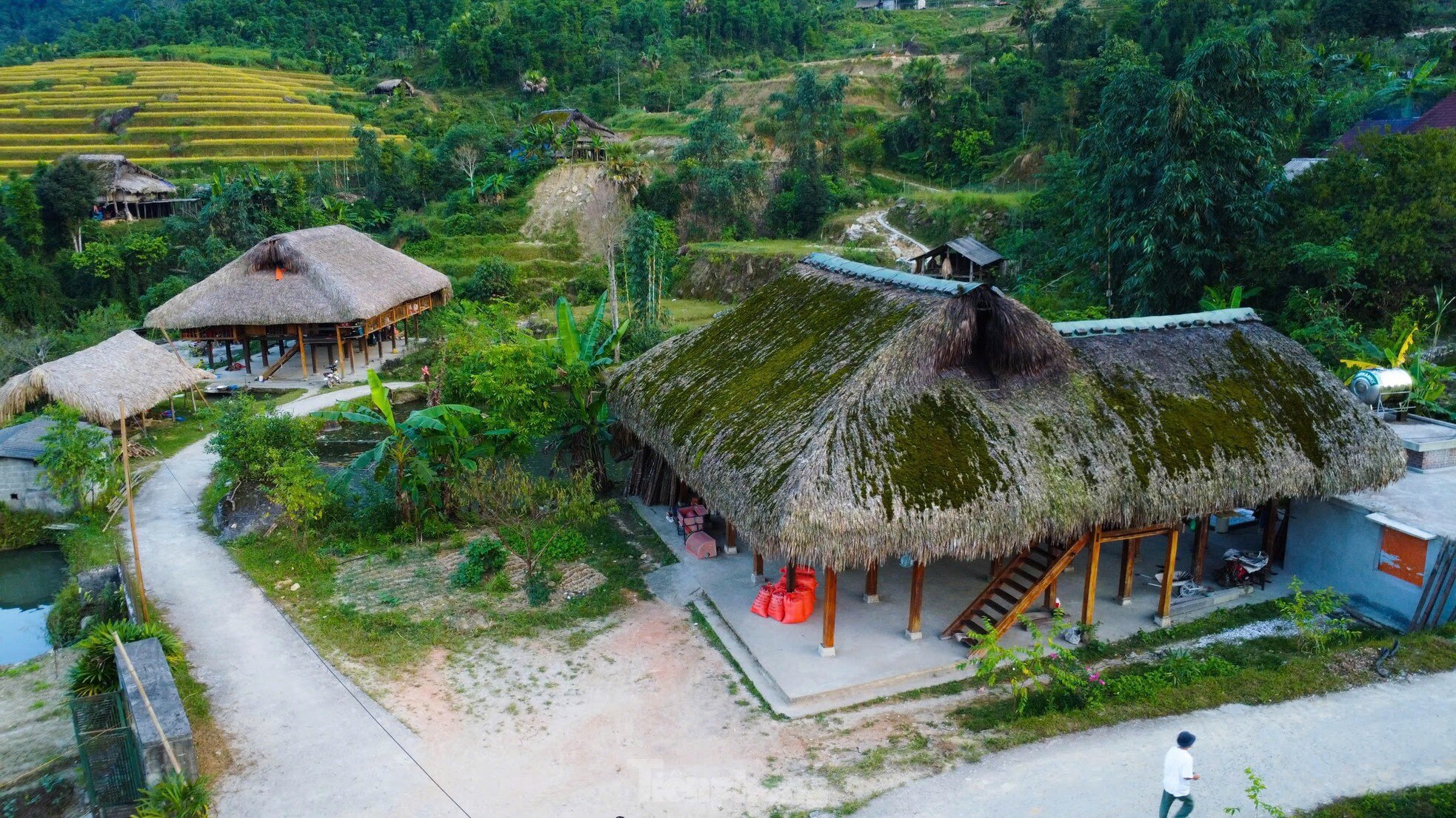 Rare, hard to find roofs that can 'transform' in Ha Giang photo 2