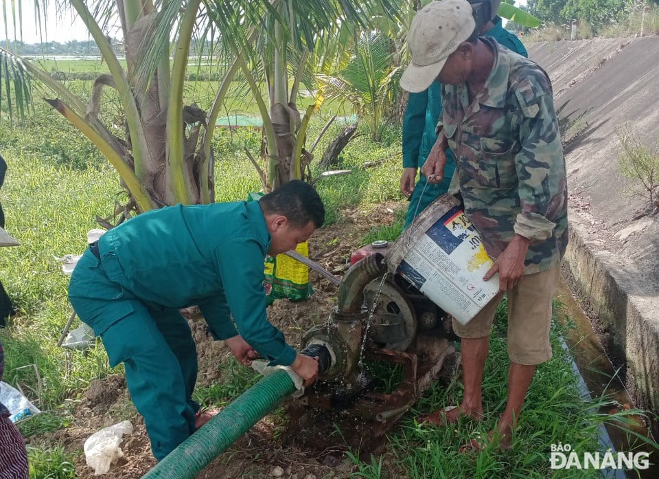 Các đơn vị phối hợp với nông dân huy động các máy bơm để 