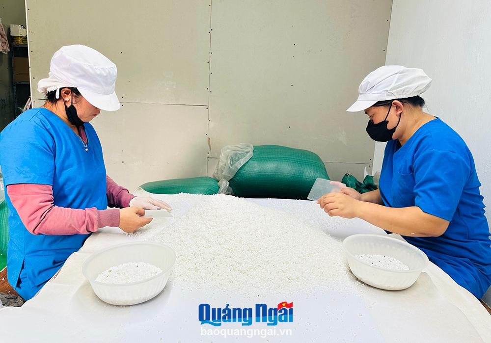 Phần lớn muối Sa Huỳnh được sử dụng làm muối ăn, chưa đáp ứng yêu cầu của các ngành công nghiệp nên đầu ra bấp bênh.  Trong ảnh: Sơ chế muối Sa Huỳnh tại Công ty TNHH Một thành viên Muối Sahu (TX.Đức Phổ).
