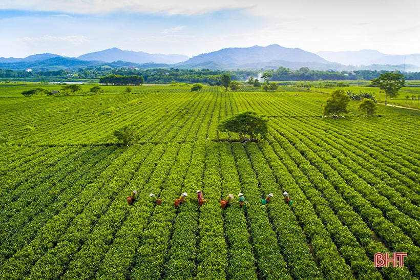 Những cơ hội mới để Hà Tĩnh phát triển du lịch bền vững