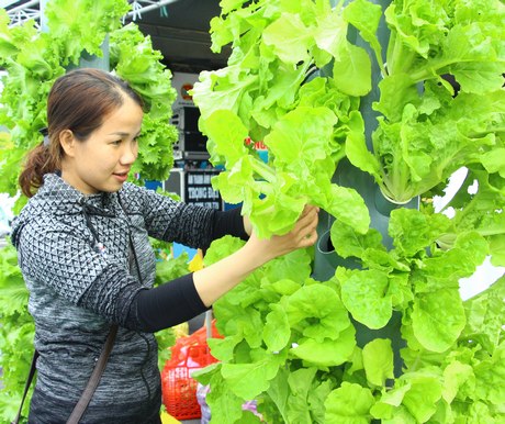 أصبحت الزراعة أسهل مع التحول الرقمي.