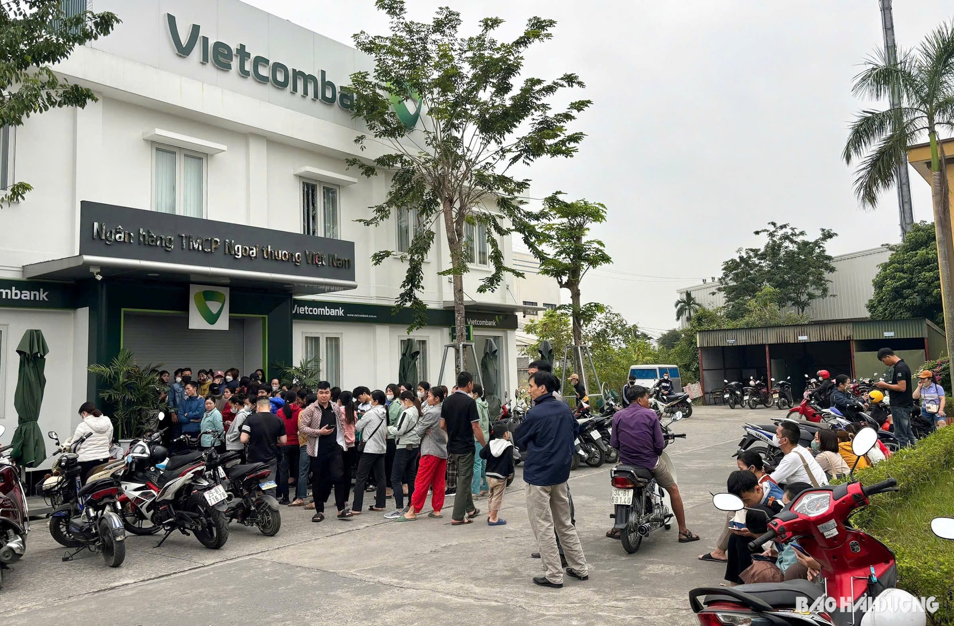 vietcom-update-information-biologique.jpg