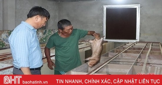 De nombreux modèles d'élevage « uniques et étranges » des agriculteurs de Cam Xuyen