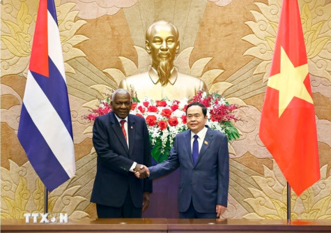 Développer les relations entre le Vietnam et Cuba à un niveau nouveau, plus complet et plus substantiel