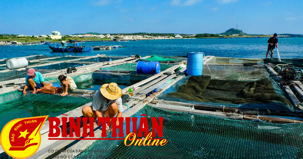 Formation sur les techniques d'élevage marin et la prévention des maladies en aquaculture en eau salée