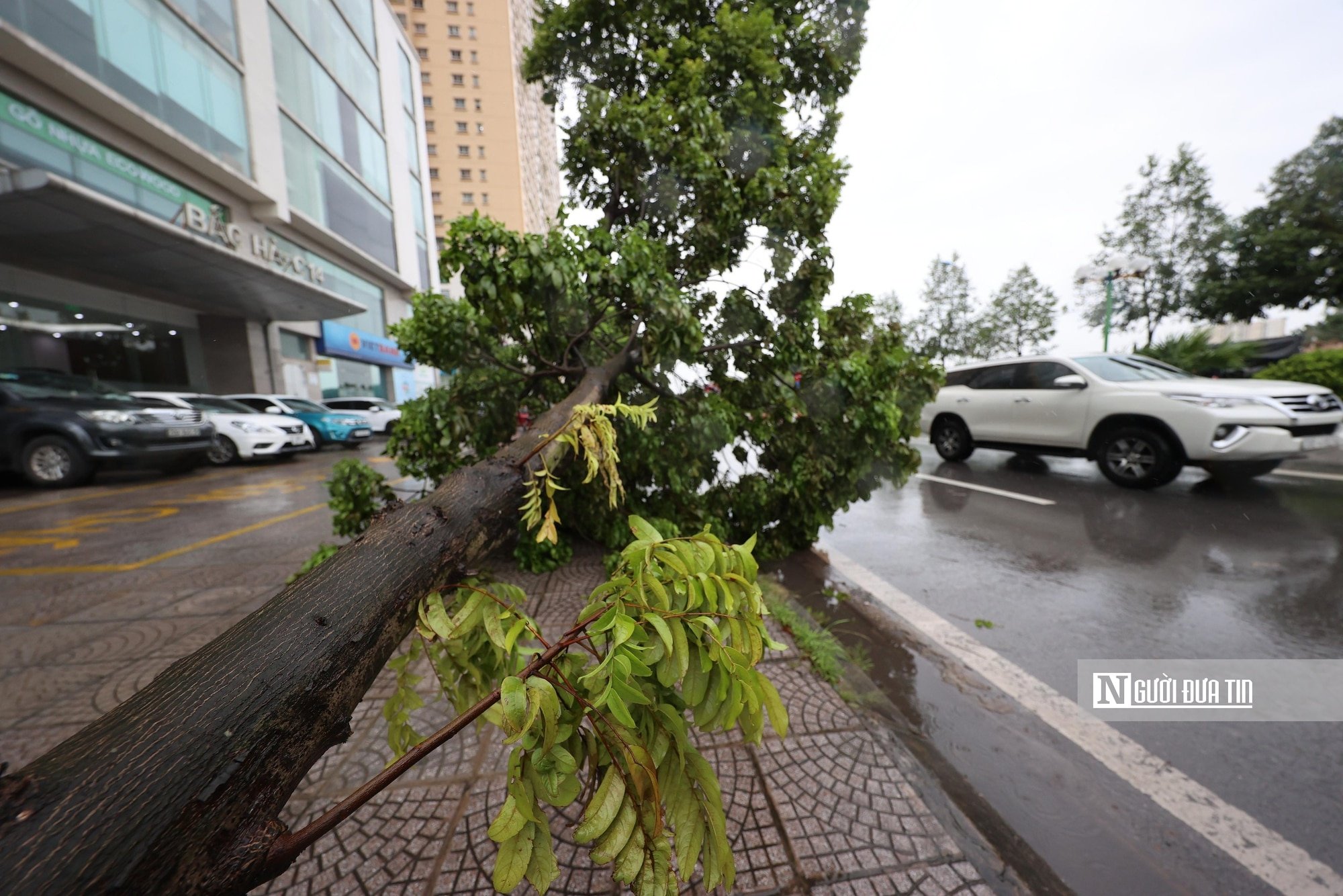 (En direct) Après la terrible journée et la nuit de la tempête n°3 : les provinces du Nord dans un chaos sans précédent