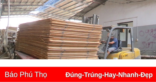 Khẳng định vai trò “trụ đỡ” nền kinh tế