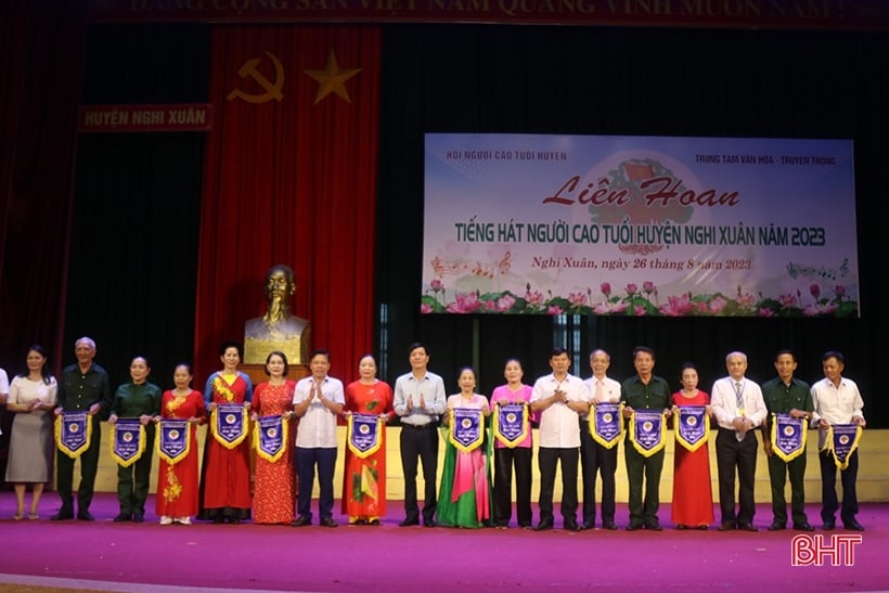 Festival spécial de chant pour les personnes âgées du district de Nghi Xuan