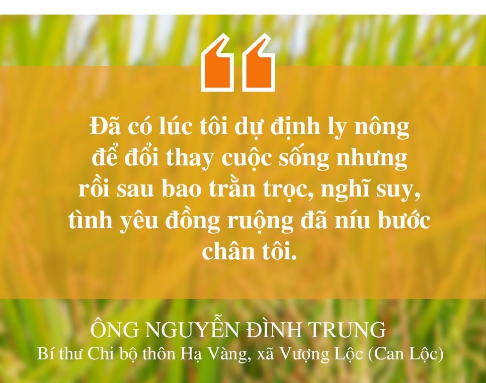 Chuyện lão nông ở Hà Tĩnh xây dựng thương hiệu gạo OCOP