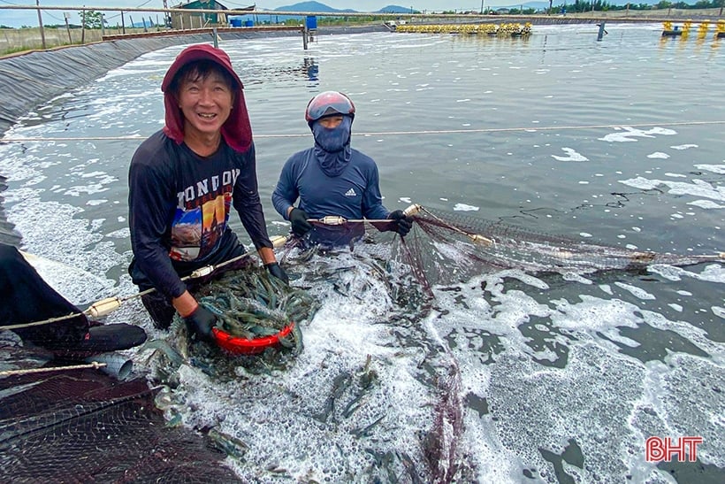 การนำรูปแบบการเลี้ยงกุ้งโดยใช้เทคโนโลยีหมุนเวียนน้ำมาใช้อย่างประสบความสำเร็จเป็นครั้งแรกในเมืองกีอันห์