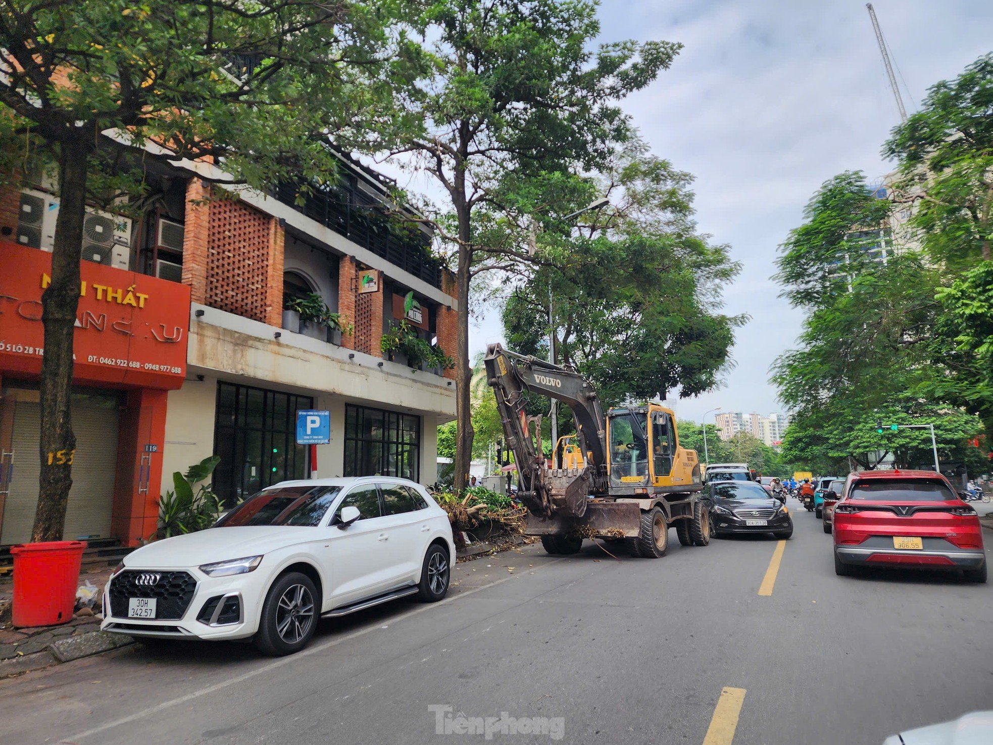 After cleaning up fallen trees, Hanoi begins to rebuild green space photo 13