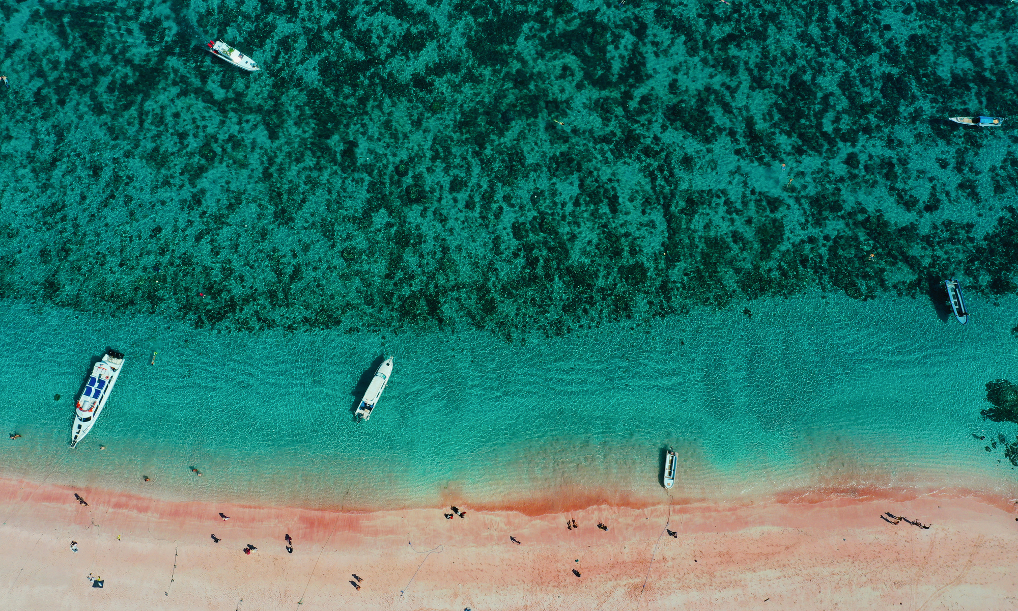 La plage rose d'Indonésie vue par les touristes vietnamiens