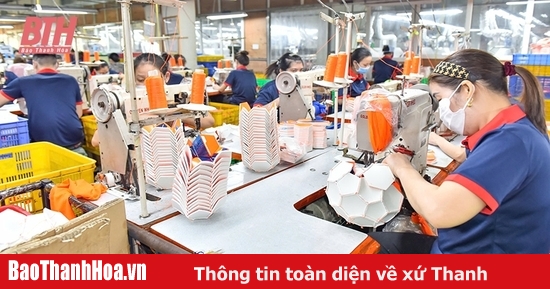 Hoằng Hóa: Phát triển doanh nghiệp tạo động lực phát triển kinh tế