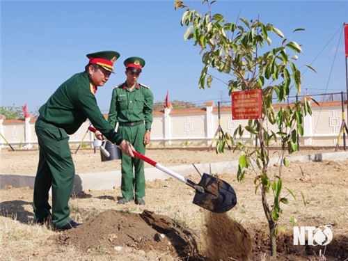 Bộ Chỉ huy quân sự tỉnh tổ chức lễ phát động Tết trồng cây đời đời nhớ ơn Bác Hồ