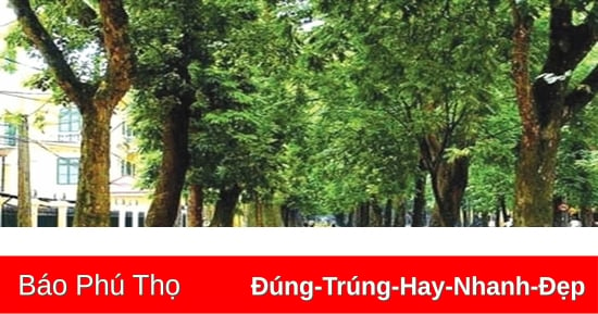 Phố cũ