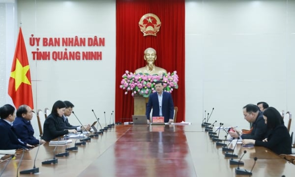 The Provincial People's Committee assesses the progress of developing detailed regulations according to the 2024 Land Law.