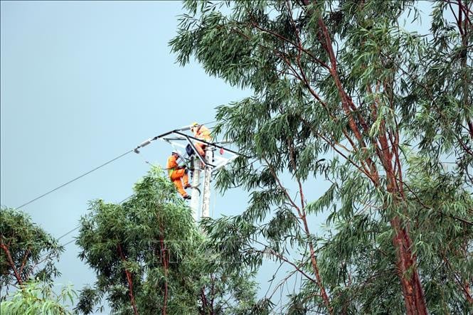 Bộ Công Thương ra công điện hỏa tốc khắc phục hậu quả bão số 3 và mưa lũ