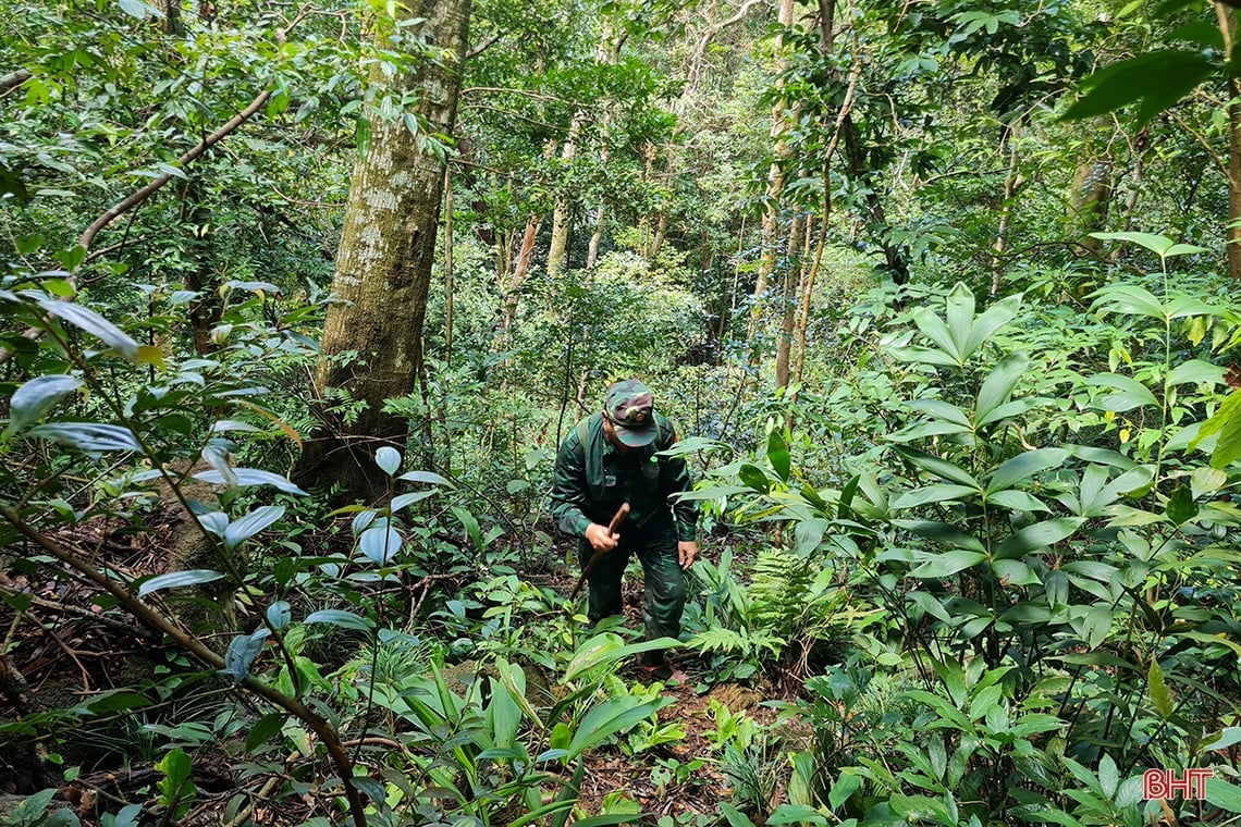 Discover the hidden beauty of Vu Quang National Park