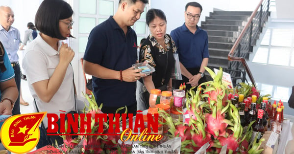 Removing difficulties and obstacles, creating favorable conditions to promote Binh Thuan's development