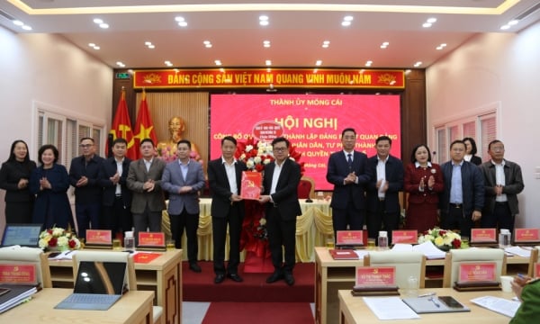 Mong Cai: Announcement of the decision to establish the Party Committee of the Party Agencies, Mass Organizations, People's Council, City Judiciary and City Government Party Committee