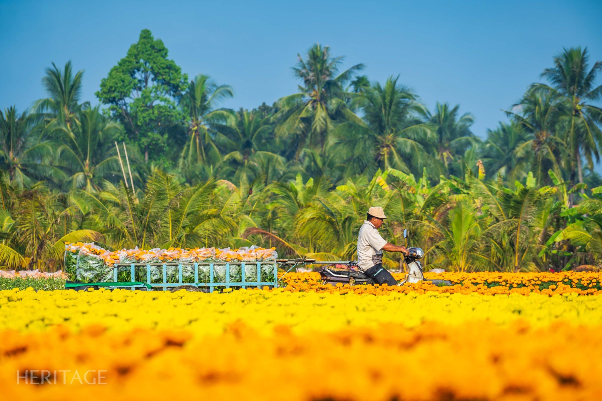 Có thể là hình ảnh về 1 người