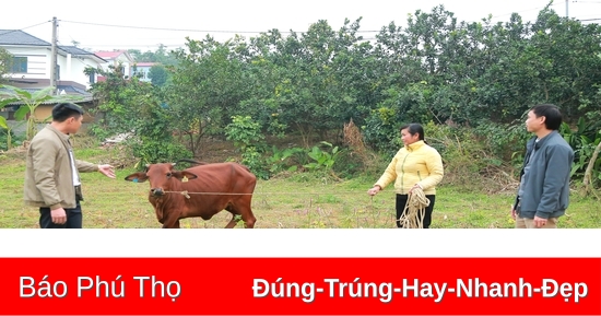 Kinh nghiệm giảm nghèo ở Hạ Giáp