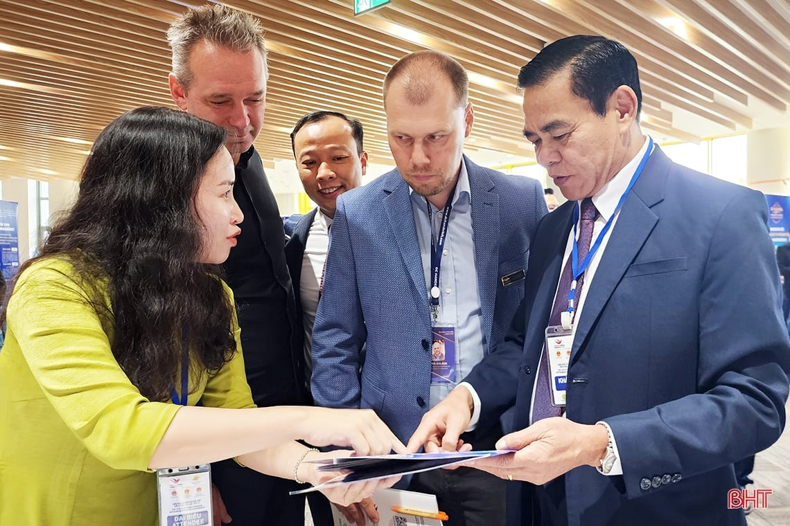 Ha Tinh promotes and attracts foreign investment