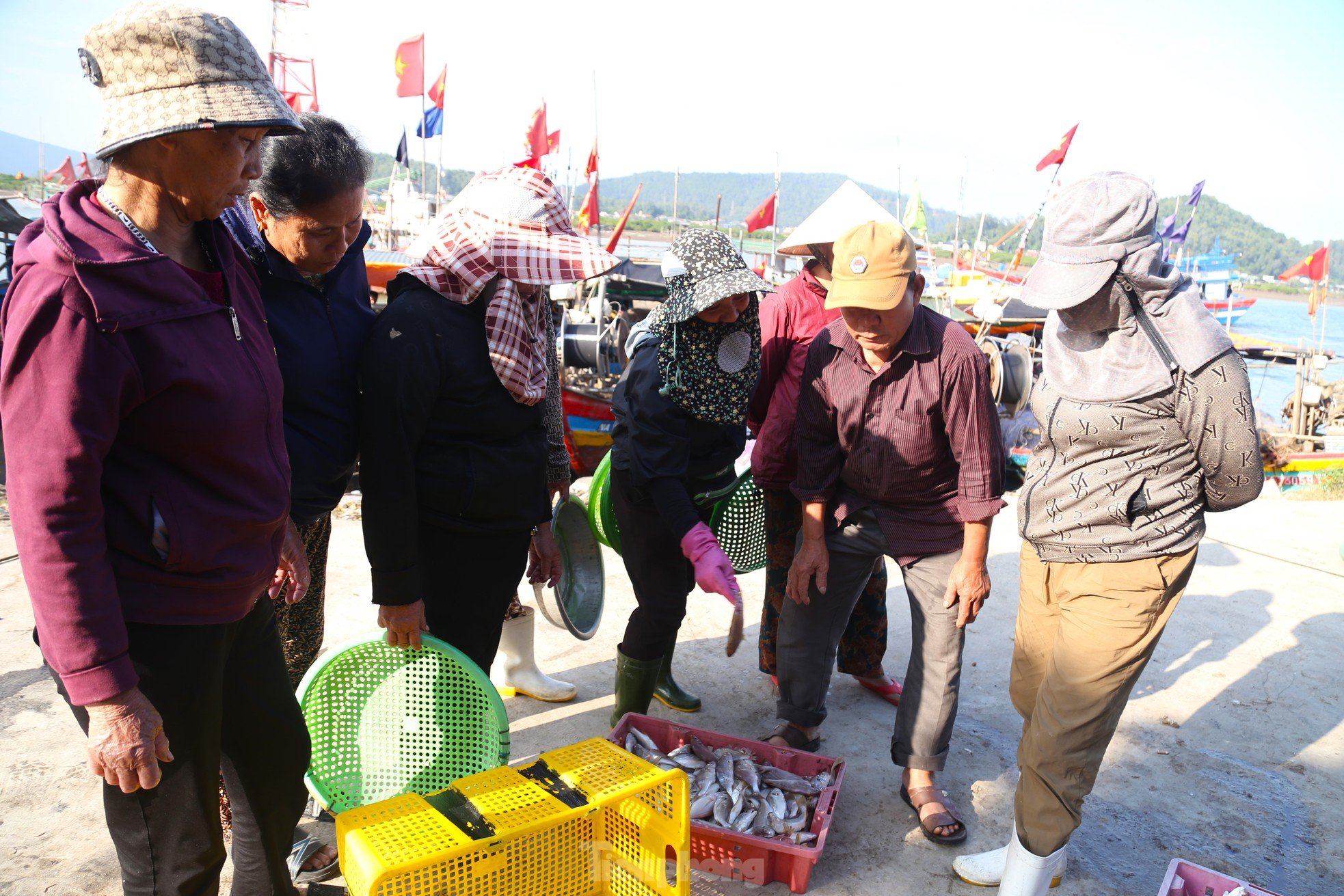 Giăng lưới săn ghẹ, ngư dân kiếm tiền triệu mỗi ngày ảnh 11