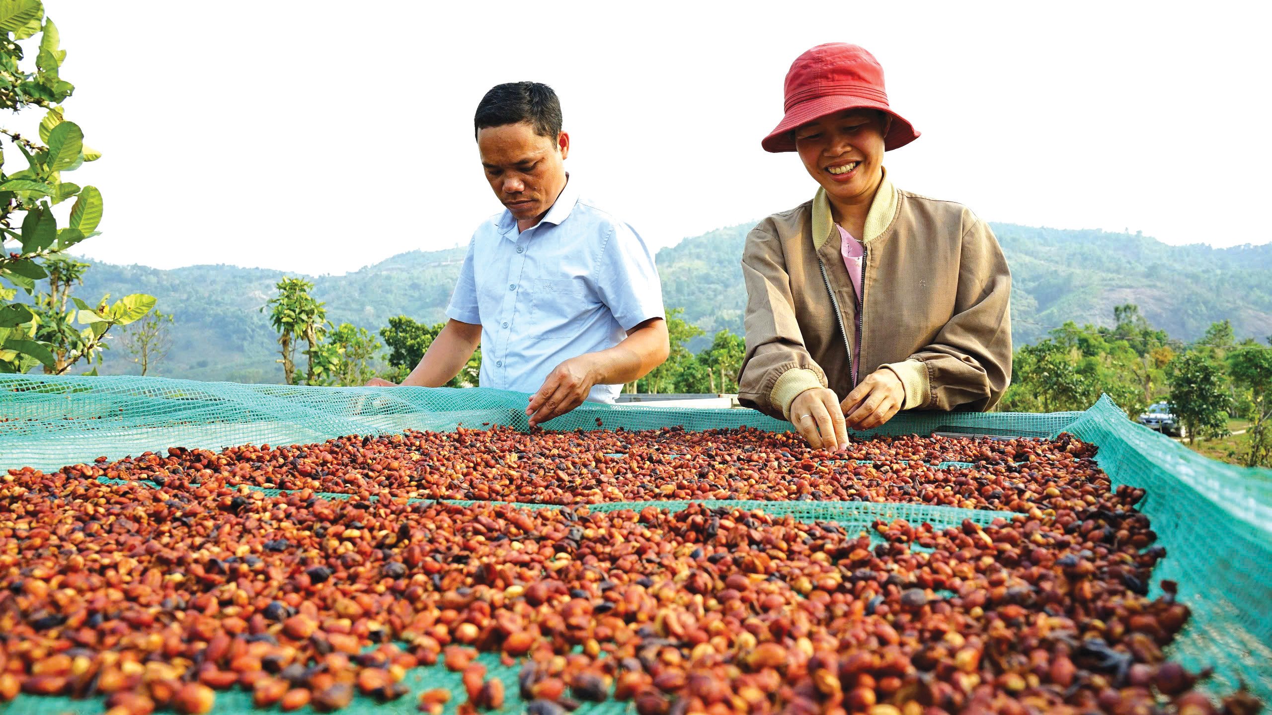 Mettre l’accent sur le soutien au développement de produits typiques pour les minorités ethniques et les zones montagneuses de la province de Quang Tri.