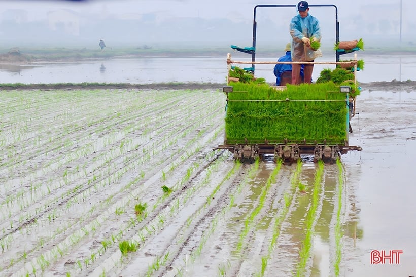 Grupo Guilin: por una agricultura circular y en desarrollo