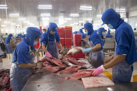 Promouvoir l'économie circulaire, réduire les émissions pour un développement durable de l'industrie du pangasius.