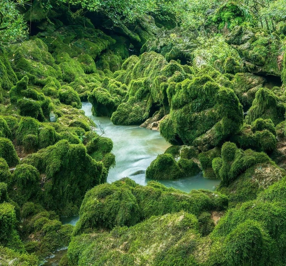 Du lich, Quang Binh anh 3