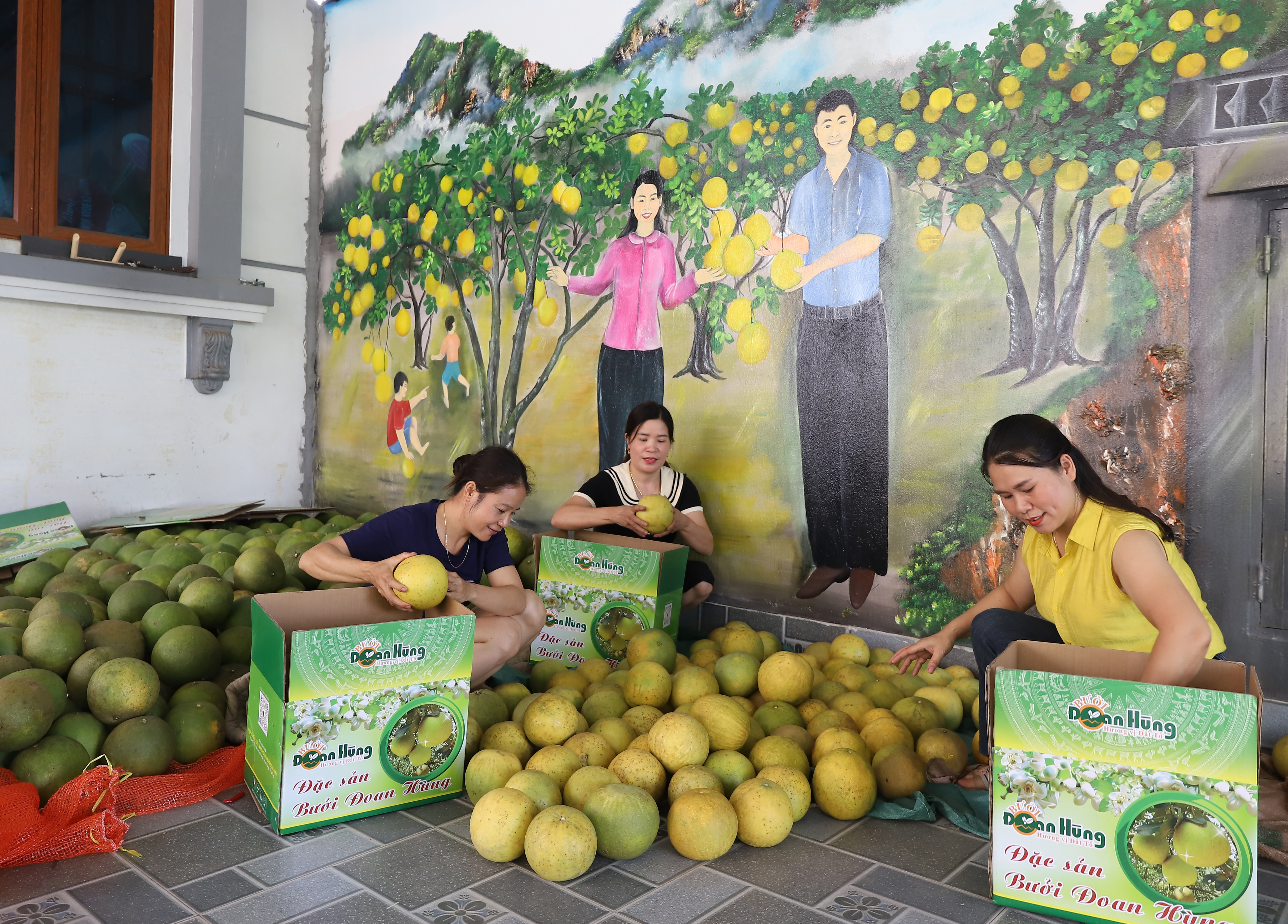 Goldene Jahreszeit im Grapefruitland