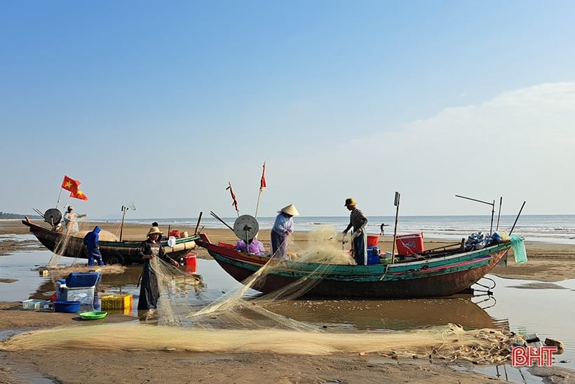 Las gachas de pescado Nghi Xuan son frescas y deliciosas, a buen precio.