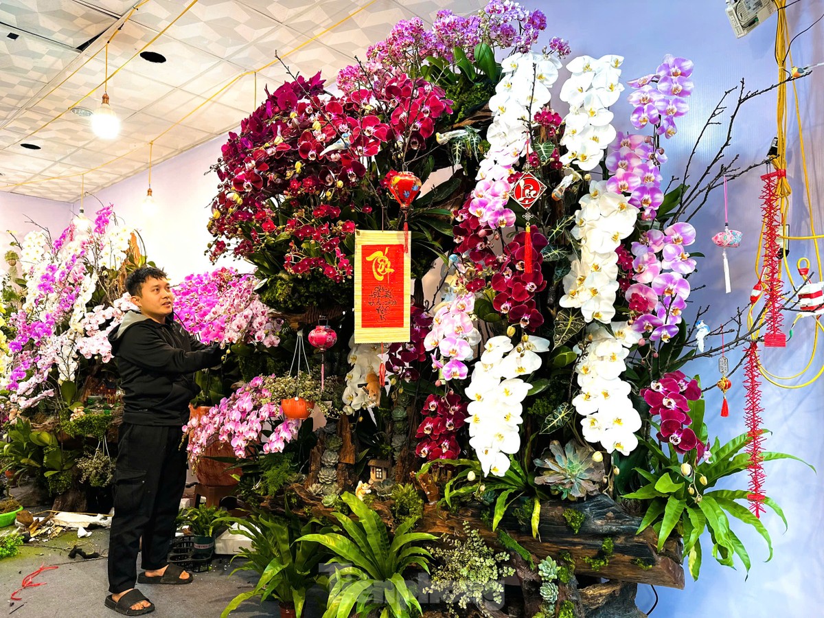 Pot d'orchidée unique avec 300 branches sur bois flotté, d'une valeur de plusieurs centaines de millions de dongs, photo 10