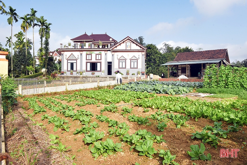 Parrainage et empreintes de parrainage dans les nouvelles zones rurales de Ha Tinh