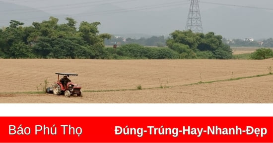 Phát triển nông nghiệp góp phần giảm nghèo bền vững ở Tề Lễ