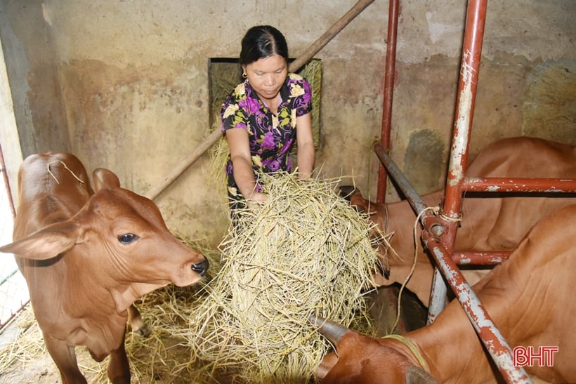 “Chìa khóa” mở cánh cửa thoát nghèo bền vững cho nông dân Lộc Hà