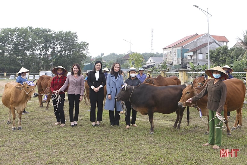 Những người lặng lẽ tô thắm sắc xuân ở Hà Tĩnh