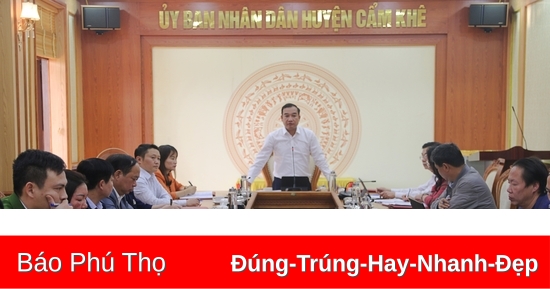 Công bố thông tin quyết định cưỡng chế thu hồi đất tại thị trấn Cẩm Khê