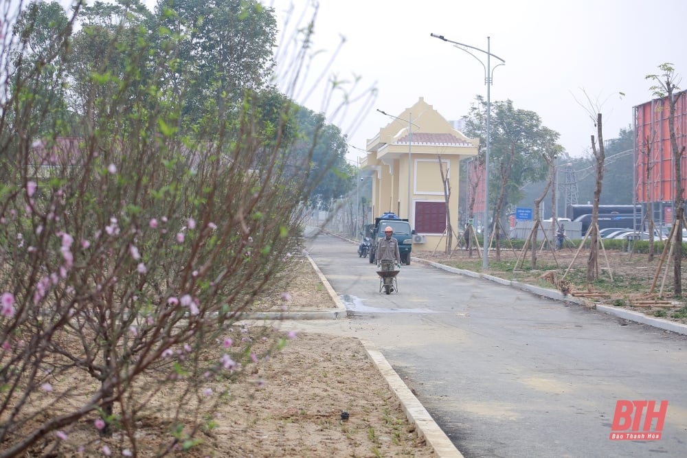 ការដ្ឋានសំណង់ដ៏អ៊ូអរនៃគម្រោងសំខាន់ៗ