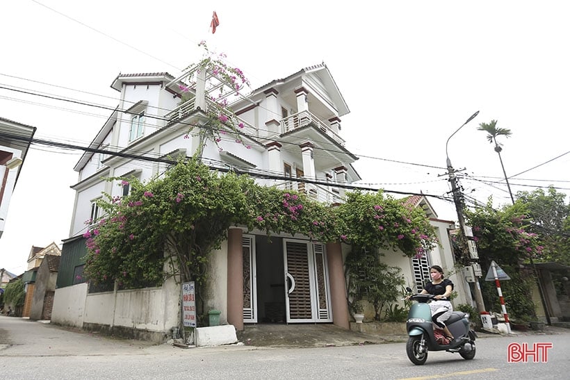 La buganvilla morada florece en el nuevo paisaje rural de Can Loc