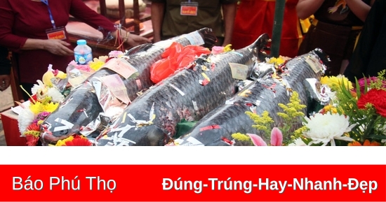 Unique live grass carp sacrifice ceremony at Gin Temple Festival