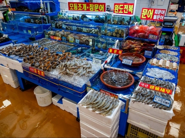 Political instability has a strong impact on South Korea's economic growth